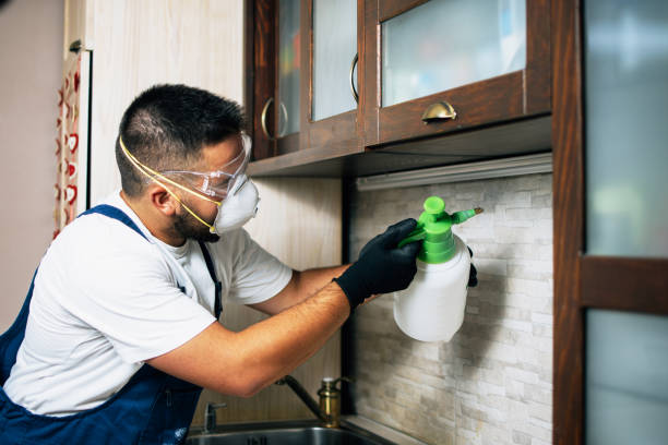 Best Exterminator Services  in Ninety Six, SC