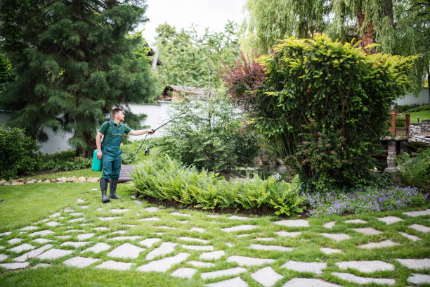 Best Pest Prevention Services  in Ninety Six, SC