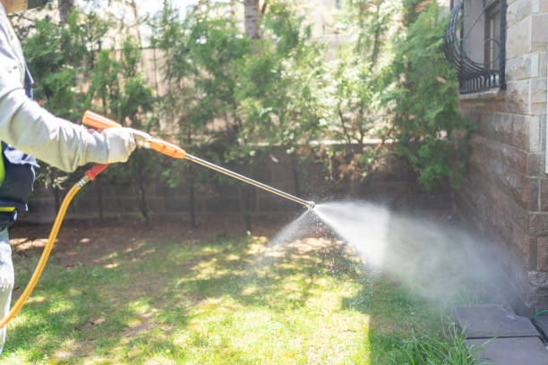 Best Wasp Removal Services  in Ninety Six, SC