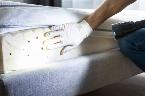 Pest Control Cost in Ninety Six, SC